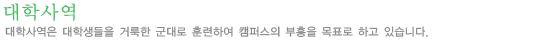 대학사역